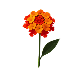 orange-lantana flower icon