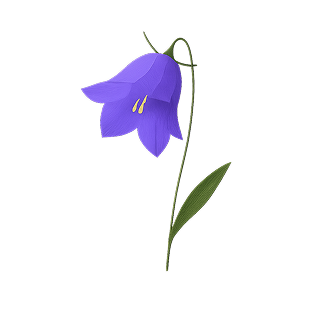 purple-bluebell flower icon